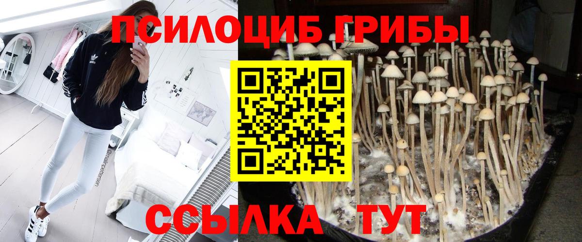 Галлюциногенные грибы ЛСД  Вход с VPN  Великий Новгород 