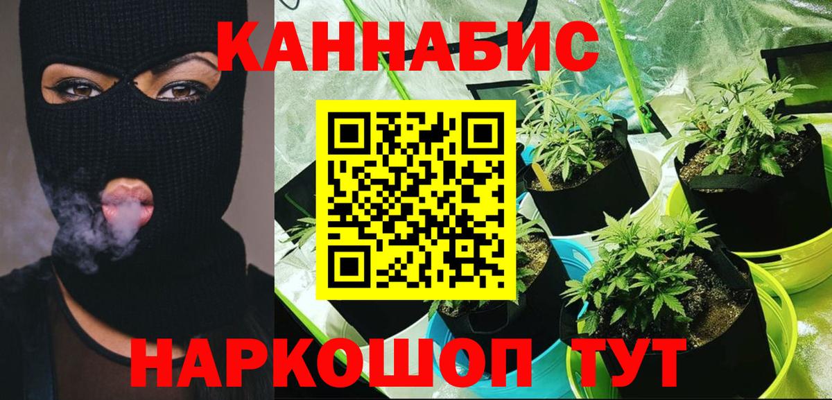 Конопля индика  Вход с VPN  Великий Новгород  Конопля план 